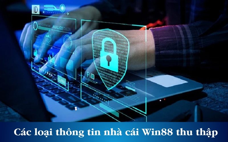 Các loại thông tin nhà cái Win88 thu thập