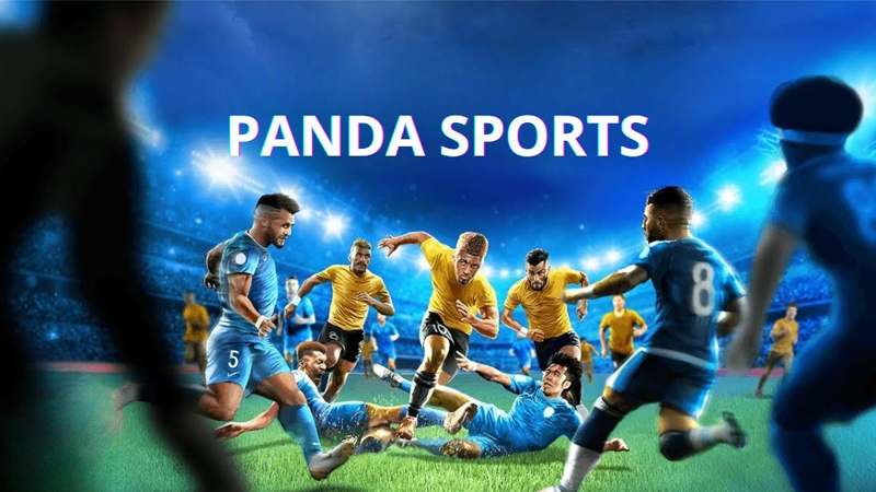 Hướng dẫn cách tham gia Panda Sports cho người mới