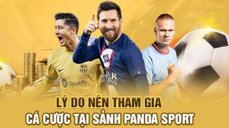 Lý do gì khiến Panda Sports Win88 hấp dẫn đến vậy