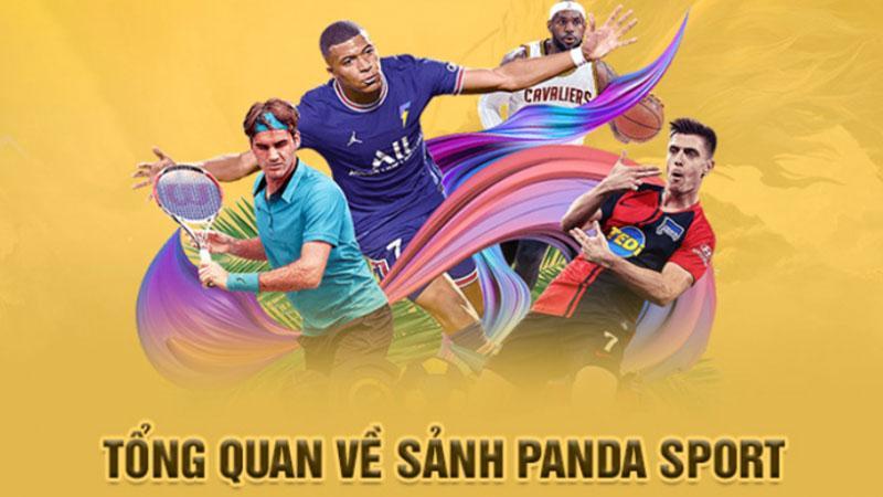 Panda Sports là sảnh thể thao được đầu tư đáng kể