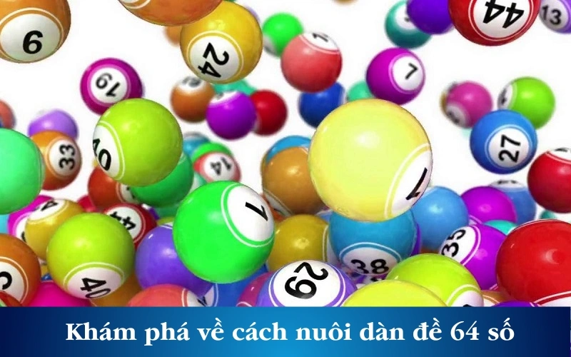 Khám phá về cách nuôi dàn đề 64 số