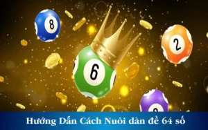 Hướng Dẫn Cách Nuôi Dàn Đề 64 Số Siêu Chuẩn